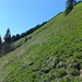 Ende der Südost-Flanke des Chli Horns. Abstiegsroute entlang der grünen Horizontlinie.