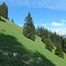 Schöner Abstieg von Blatti über den Bergweg nach Wiesenberg.