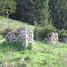 Ruine alter Alpgebäude unterhalb Vorder Rüchi.