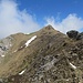Blick vom Südgipfel auf den Gipfelgrat zur Schafmatt. Das windschiefe "Gipfelkreuz" ist auf dem Buckel links unterhalb des Gipfels.