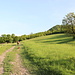 Unterwegs zum Srdov - Hier auf einem Feldweg nahe Mnichov. Auf diesem Stück führt auch der grün markierte Wanderweg zum Oblík entlang.