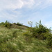 Im Aufstieg zum Brník - Blick entlang der südwestlichen Bergflanke mit dem Pfad in Richtung Gipfel. Starker Wind fegt gerade über Gras und Gebüsch. 