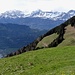 ... mit hübscher Aussicht vom Güpfi bis zur Rossflue;
die höheren Berner Berge wolkenverhangen