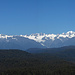 Ein Aussichtspunkt auf dem Rückweg von der 3-mile Lagoon nach Okarito: die Southern Alps über den grünen Regenwäldern. Rechts Mt Tasman und Mt Cook