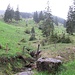Bergsturzgebiet unterhalb Grüenewald: der Hüenerhubel hat da wohl ab und zu einen Beitrag zur Landschaftsgestaltung bereit