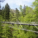 Brücke im Grünen