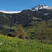 Frühling um Grindelwald