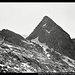 Gelenknock vom Aufstieg zur V. Hornspitze, Zillertaler Alpen, Ahrntal, Südtirol, Italien