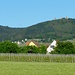 ein Storch vor einem Aussenquartier von Eguisheim:
auf dem bewaldeten Hügel die Drei Exen (elsässisch; Dri Egsa - französisch les trois tours d'Eguisheim)