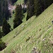 Aufstieg über steile Grasflanken auf etwa 1800m.