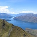Der Lake Wanaka zu Füssen, in der Ferne der Mt Aspiring NP