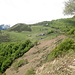 Alpe di Naccio