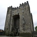 das bekannte Bunratty Castle (NW von Limerick)