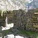 Alpe Sautì