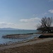 Am Ufer der Lac de Neuchâtel.