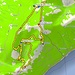 <b>Tracciato GPS Monte Boglia.</b>