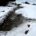 Wanderweg auf Scheidegg - Unter dem Schnee verbirgt sich das ein oder andere Wasserloch
