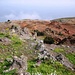 nun schon auf dem Abstecher zum Roque El Toscon durch eine farbenprächtige, botanisch und geologisch interessante beige-rote Erosionslandschaft