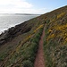 Le sentier du littoral entre Lydstep et Manorbier