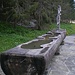 Ein riesiger Holzbrunnen bei Pt 1155