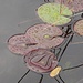 Stilleben mit Seerosenblättern und Regentropfen