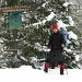 The begining of the National Park Rodnei