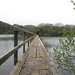 Le sentier traverse les étangs de Bosherston sur de longues passerelles