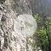 I created this video with the YouTube Video Editor (http://www.youtube.com/editor)

Cheile Turzii au o lungime de 1.300 m și o înălțime a pereților de până la 200 m. Cheile ocupă o suprafață de 324 ha și s-au format prin erodarea rocii de calcar jurasic de către râul Hășdate.
Cheile Turzii oferă un peisaj carstic de o rară sălbăticie: stânci înalte și abrupte, creste ascuțite, turnuri de piatră, vâlcele pietroase, grohotișuri, arcade etc. Conține peste 1.000 de specii de plante, animale, fluturi unele reprezentând elemente rare ca usturoiul sălbatic, acvila de stâncă, șogârțul de baltă, tisa, scorușul, garofița albă, fluturașul de stâncă.

Peste apa văii Hășdate există 4 punți. Prima punte (I) este amplasată nu departe de intrarea văii Hășdate în Chei, ultima punte (IV) aproape de ieșirea din Chei, în direcția de curgere a apelor văii. Plecând de la cabană, până la puntea IV, poteca turistică urmează malul stâng al Văii Hășdate, între puntea IV și puntea III malul drept, între puntea III și puntea II malul stâng, între puntea II și puntea I malul drept, iar după puntea I (până la ieșirea din Cheile Turzii în direcția satului Petreștii de Jos) malul stâng.
(descriere de la Wikipedia)