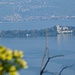Blick auf die Isola del Garda
