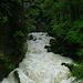 Viel Wasser.