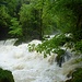 Wasserkraft.