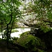 Zurück an der Areuse.