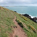Entre Freshwater West et Castles Bay. Au fond, les plages et caps interdits au public.