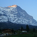 Eiger von Grindelwald Grund