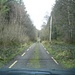offizielle Landstraße im Hinterland von Kerry - genau ein Fahrzeug breit und Grünsteifen in der Mitte :-)