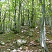 Salendo verso la Cima dell'Oress.