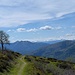 Sentiero in zona Pianca Bella.