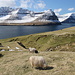 In Viðareiði - Ausblick zu Beginn unserer Tour. Im Hintergrund sind jeweils die nördlichen Spitzen der Inseln Borðoy, Kunoy und Kalsoy (von links nach rechts) zu sehen.