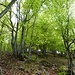 das Licht am Ende des Tunnels wird sichtbar