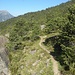 Das wunderschöne Weglein des Bergsturz-Rundwegs