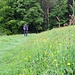 unterwegs auf Wiesenwegen...