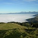 Säntis, Speer und Nebelmeer (vom Stöcklichrüz)