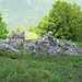 Alpe Corte, sieht aus wie im Valgrande