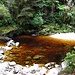 Ungewöhnliche Farben beim Oparara River