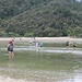 Am nächsten Tag queren bei Ebbe einige Wanderer das Awaroa Inlet