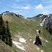 Einblick in unseren Weiterweg; unterhalb der Stockeflue Alp Wildistei