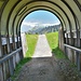 Tunnelblick zum Rigi