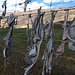 Interessanter Straßenschmuck auf dem Weg von Wanaka nach Queenstown