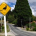 In den Straßen von Wanaka