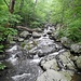 Robinson River oberhalb der Wasserfälle